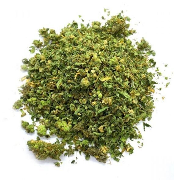 Amnesia Cannabis Shake