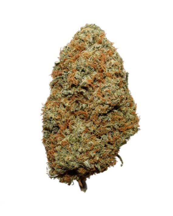 Amnesia Haze AAA Weed Strain