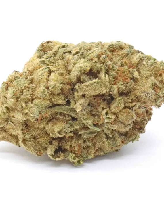 Berry White Weed Strain