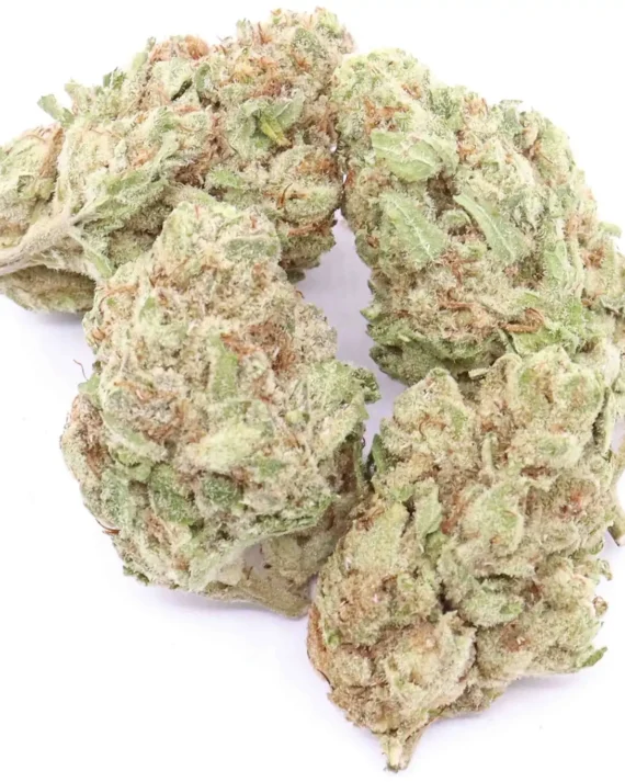 Black Cherry Punch Weed Strain