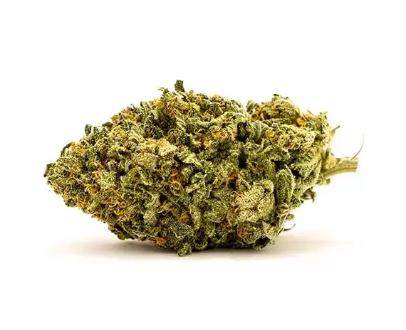Blue Dream Sativa Weed Strain