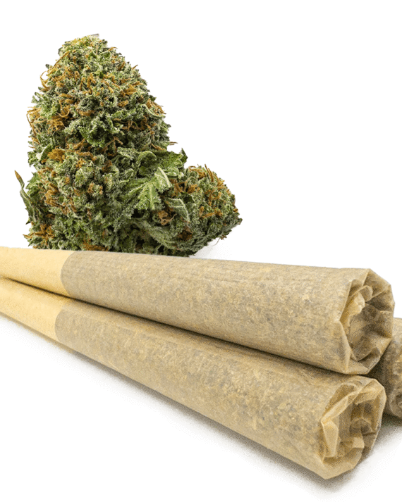 Buy 0.9 Gram Elmer’s Glue Pre-Rolled Joints