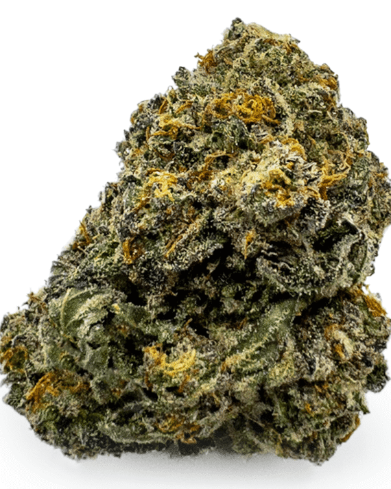 Buy Durban Poison Cannabis