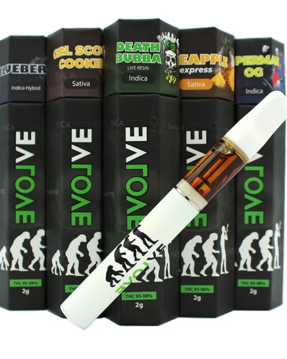 Buy Evolve Disposable Vape Pen 2g