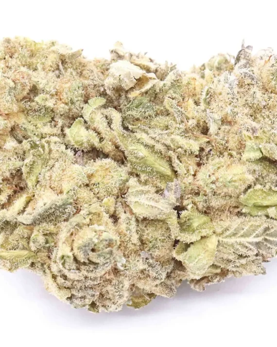 Buy Mandarin OG Cannabis Strain