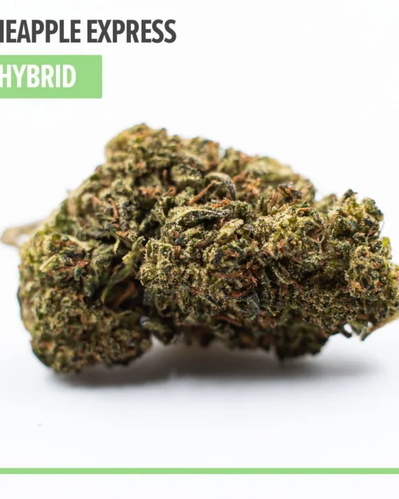 Buy Pineapple Express Delta 8 THC Flower, Hybrid