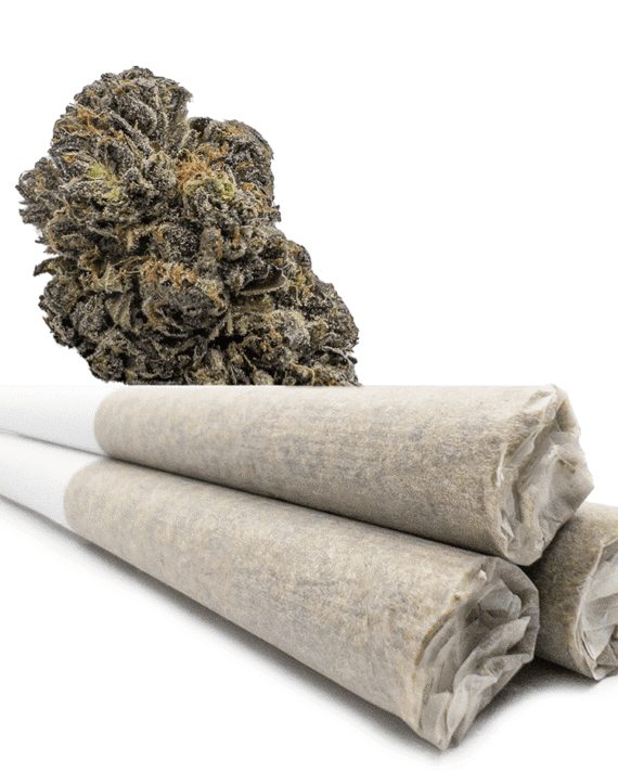 Buy Scooby Snacks 0.9 Gram Pre-Rolled Joints