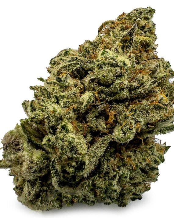 Buy Tropic Truffle Weed
