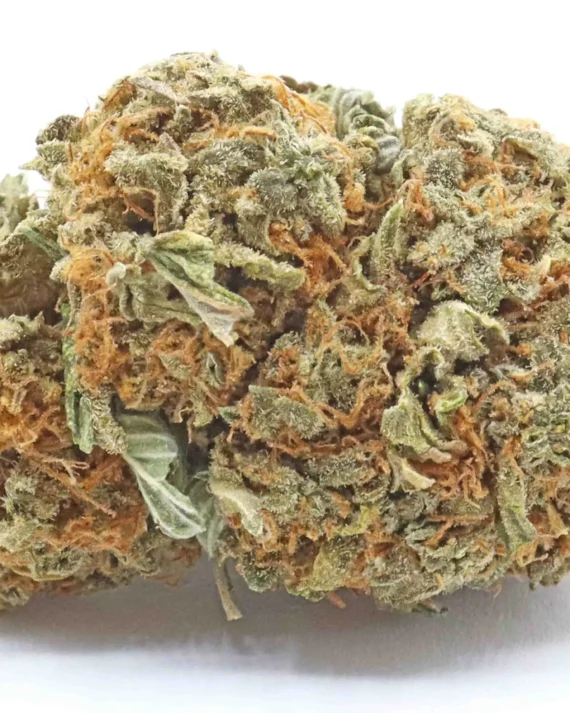 Cannatonic Hybris Weed Strain