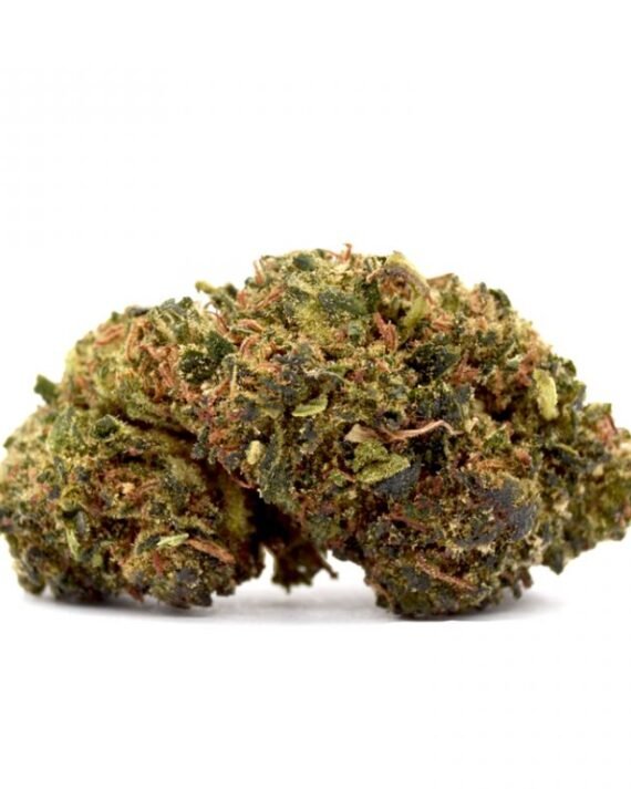 Cheese Delta 8 Marijuana Flower