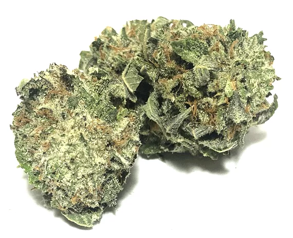 Chemnesia Marijuana Sativa Flower