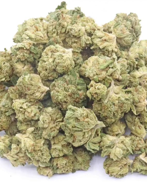 Ewok Strain Small Buds – Hybrid