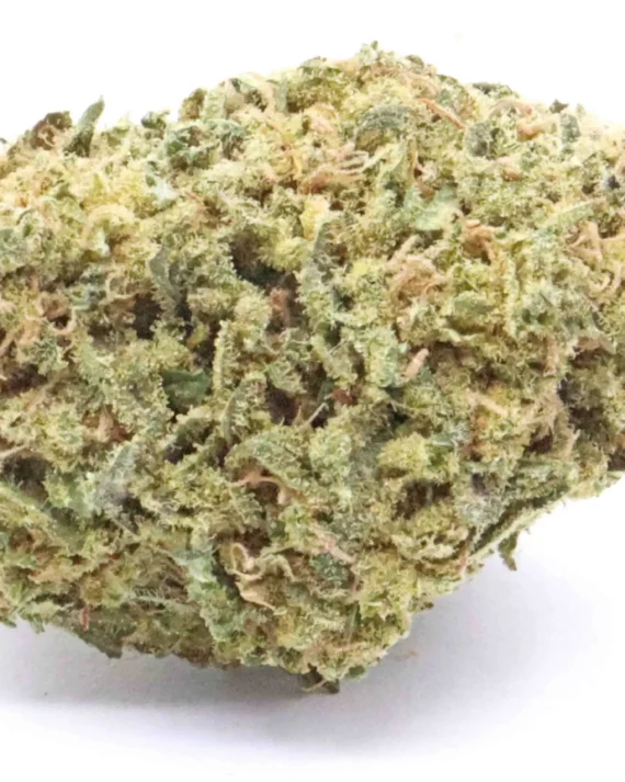 G13 Strain Indica Flower