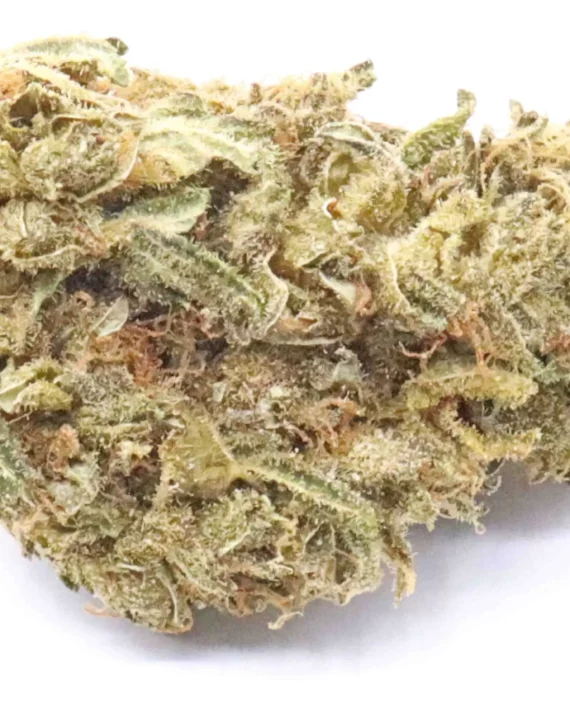 Ghost Train Haze Weed Strain