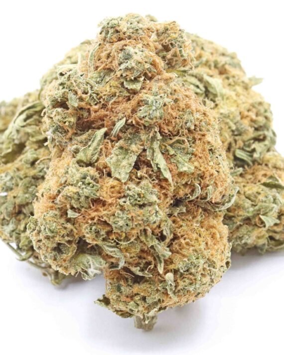 Gosh Hybrid Weed Strain