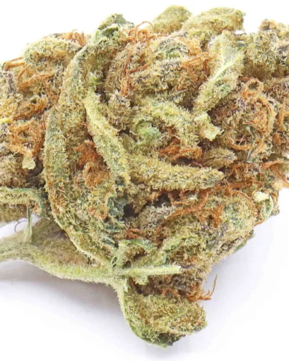 Grape Ape Weed Strain