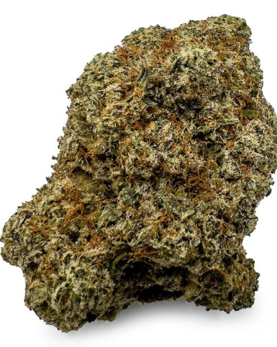 High Society Cannabis Strain