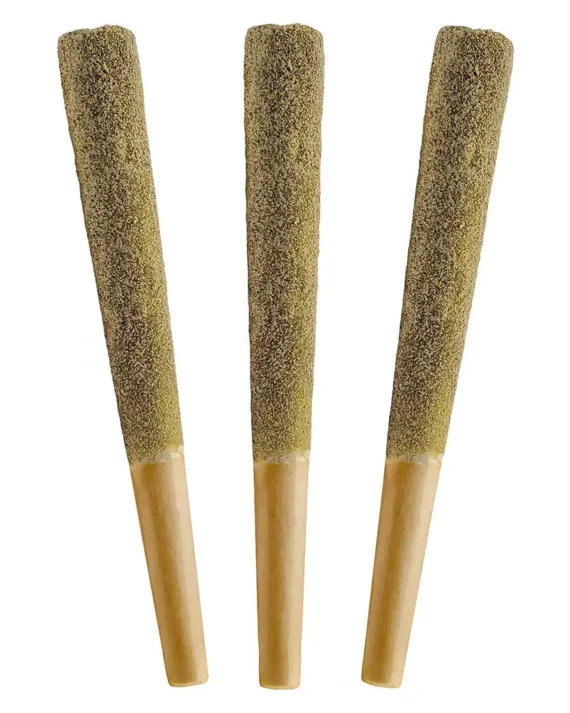 Jungle Fruit Distillate Infused Pre-Rolls 3 Pack