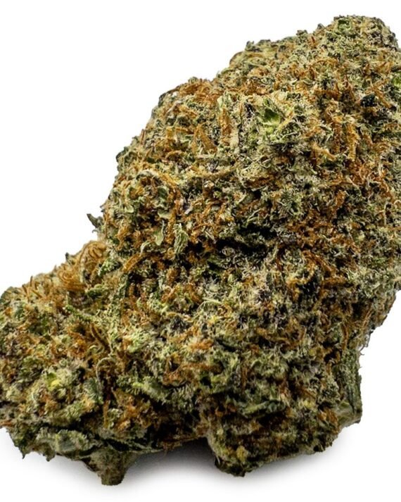 Kush Sorbet Cannabis Flower EU