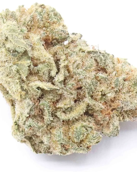 Lemon Haze Strain AAA Small Buds – Sativa Dominant Hybrid
