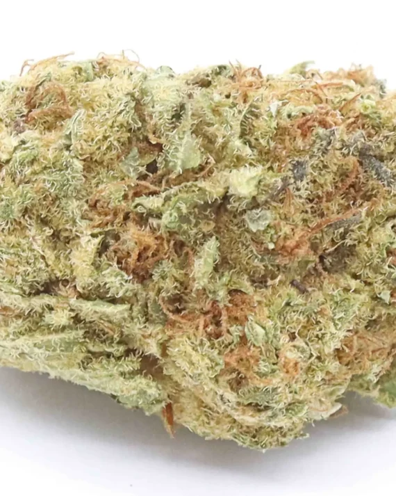 Nightmare Cookies Weed Strain