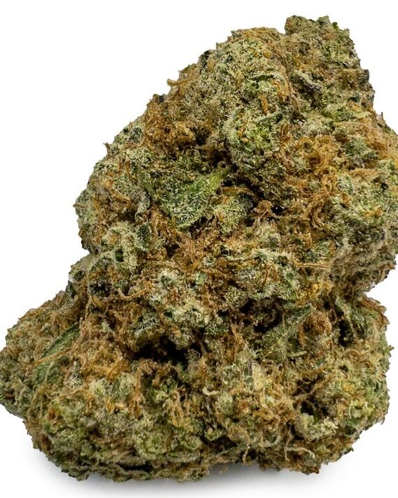 Pine Cone Marijuana Strain