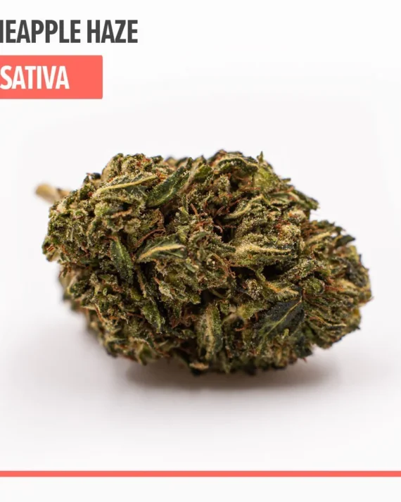 Pineapple Haze Delta 8 THC Weed Flower
