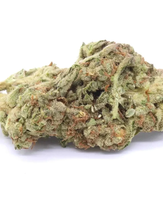 Pink Kush Marijuana Strain