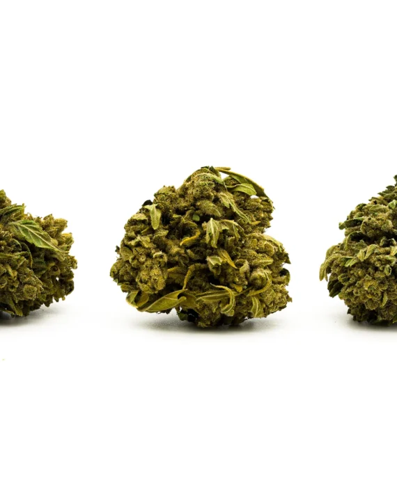 Pluto THCa Hemp Flower EU
