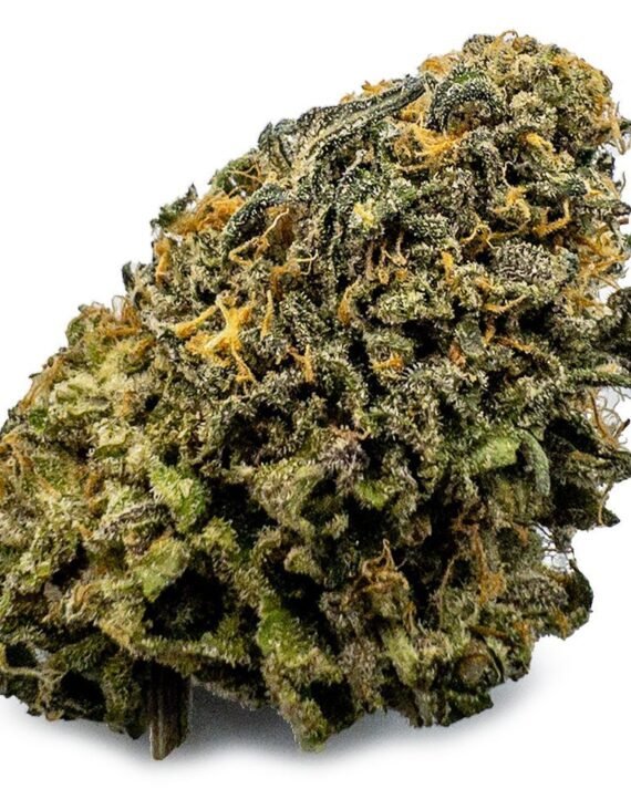 Runtz Hybrid Marijuana Strain