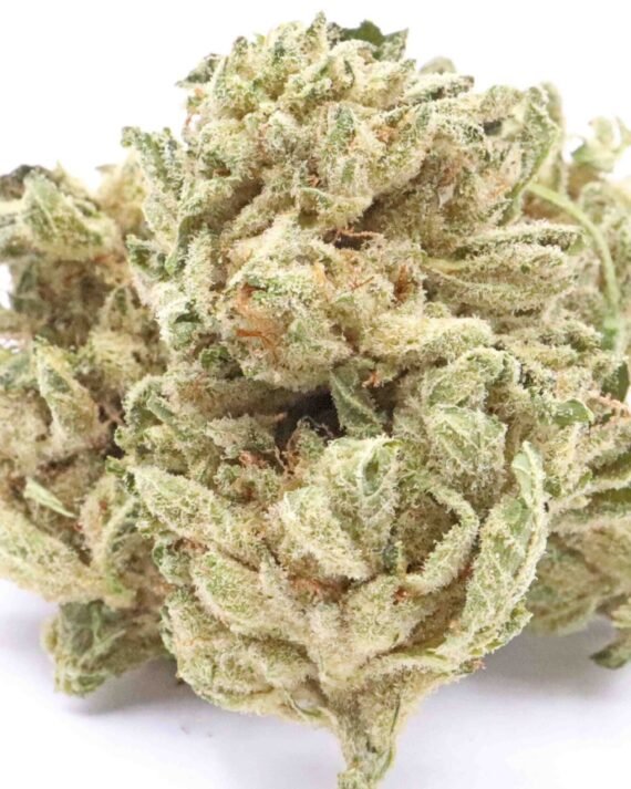 Sour Bubba Cannabis Strain