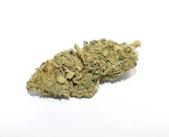 Sour Cookies Marijuana Strain
