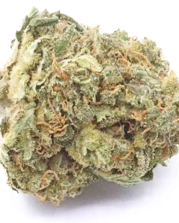 Sour Tangie Weed Strain