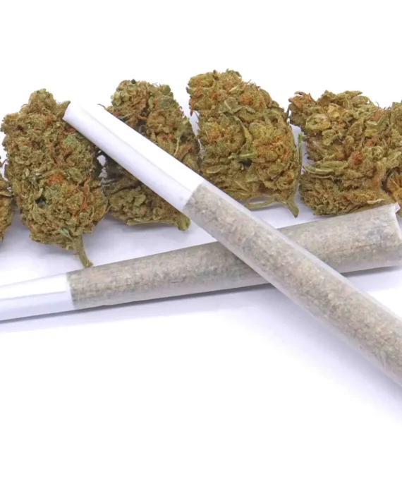 Space Queen Strain AAA Pre-Rolls – Hybrid – 1 gram