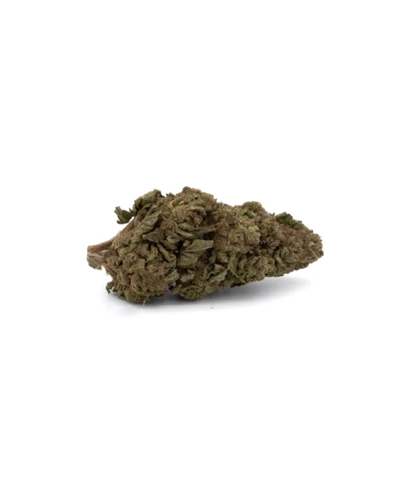 Thin Mint Cookies THCa Strain