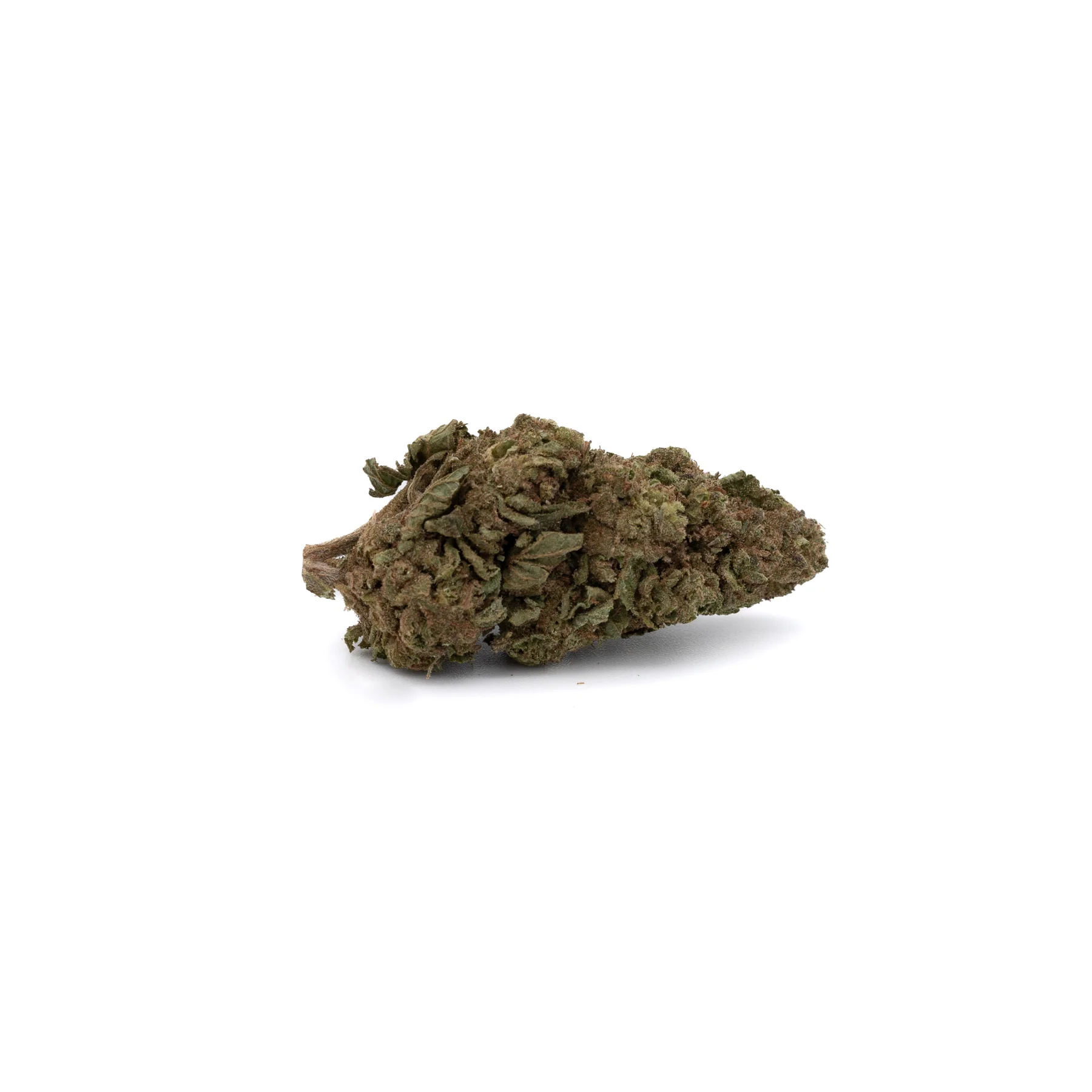 Thin Mint Cookies THCa Strain