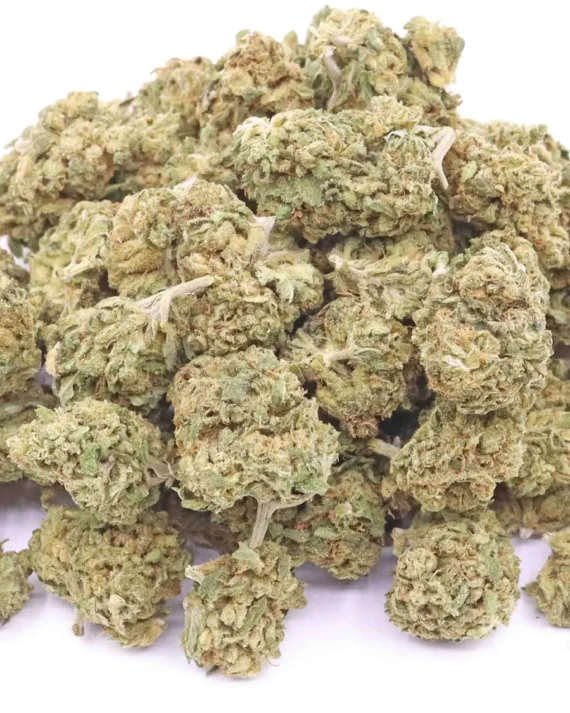 Treasure Island CBD Strain Flower – Sativa