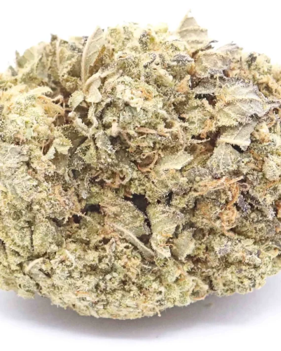 White Castle Weed Strain
