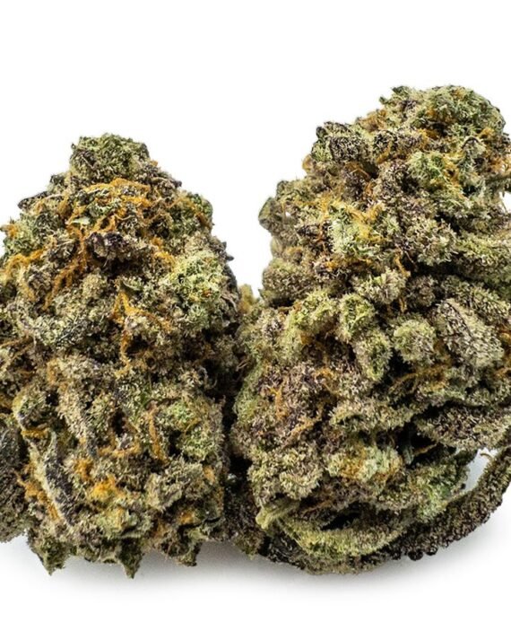Zkittlez Cannabis Strain