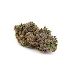 Purple Octane THCa Cannabis Flower