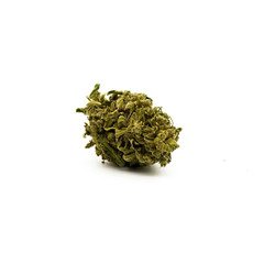 Sauerkraut THCa Cannabis Flower