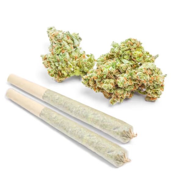 Buy THCa Marijuana Prerolls